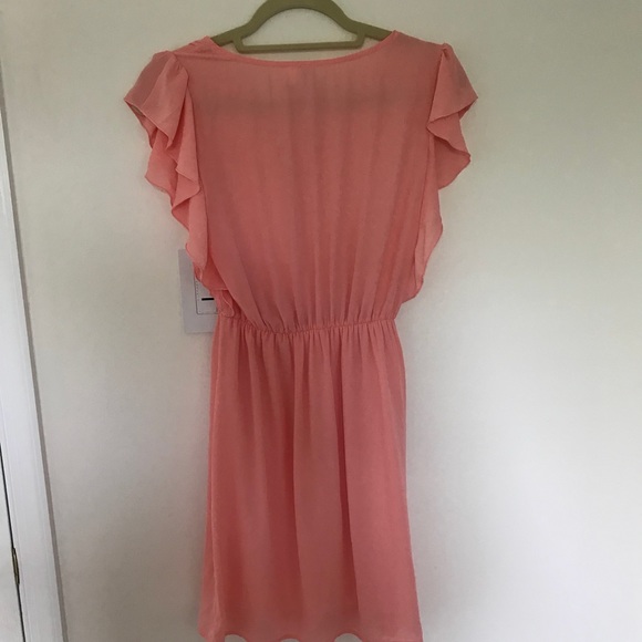 Pink mesh V-neck dress Francesca’s - Picture 4 of 4